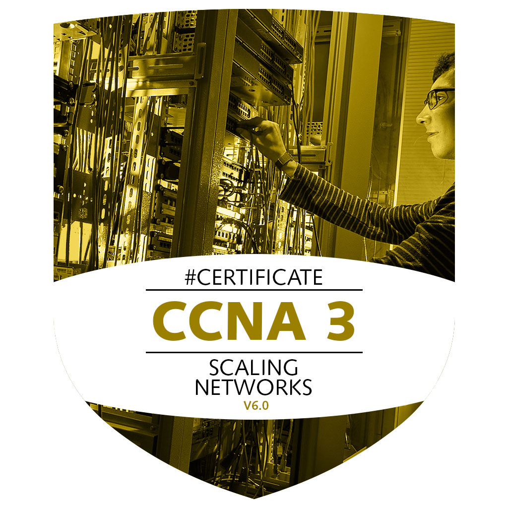 CCNA III - Scaling Networks
